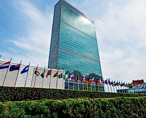 BİRLEŞMİŞ MİLLETLER BİREYSEL BAŞVURU